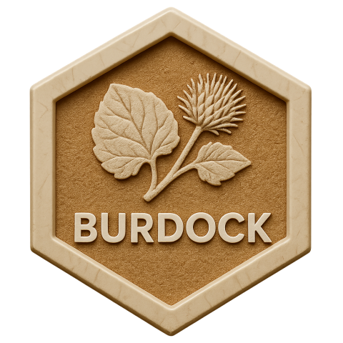 Burdock Products