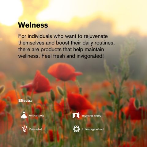 50mg CBD Isolate Nano Tablets - Green Apple - Thumbnail 7