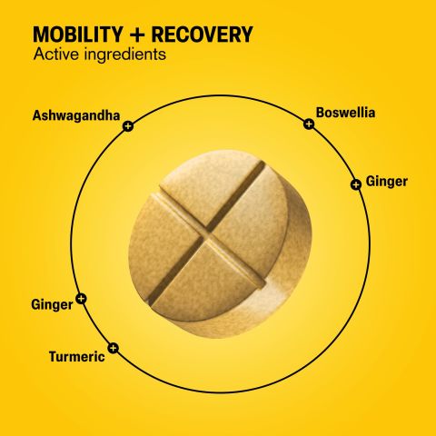500mg - Mobility + Recovery - Mood Tablets - Thumbnail 5